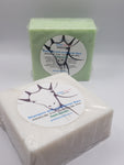 Shampoo & Conditioner Bars – Eco-Friendly, Nourishing Hair Care